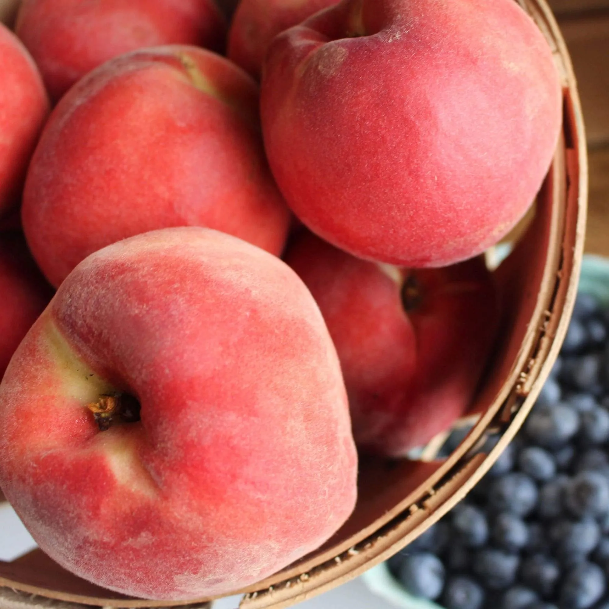 2-Week True Survival Food Kit