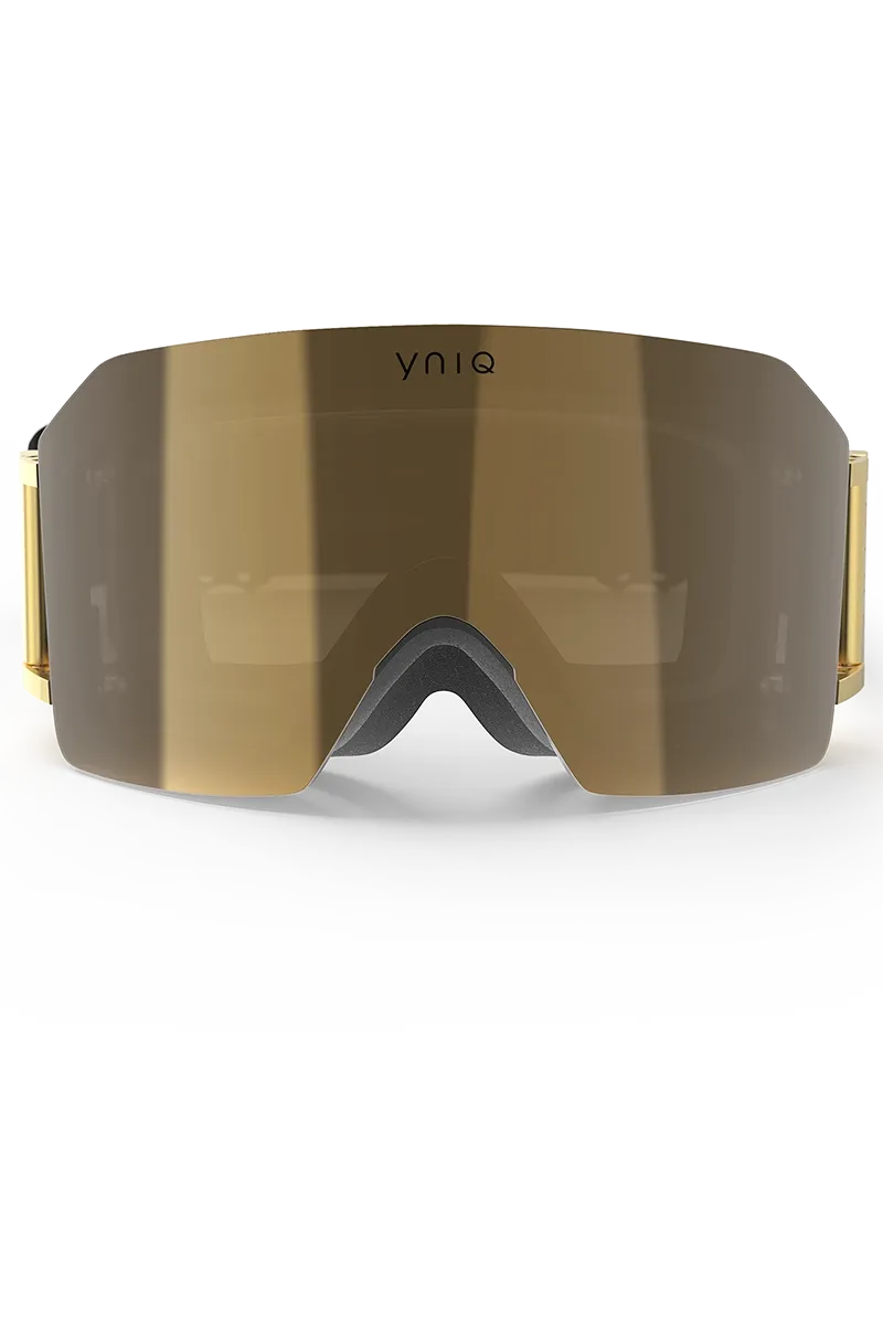 Model Nine Ski Goggles