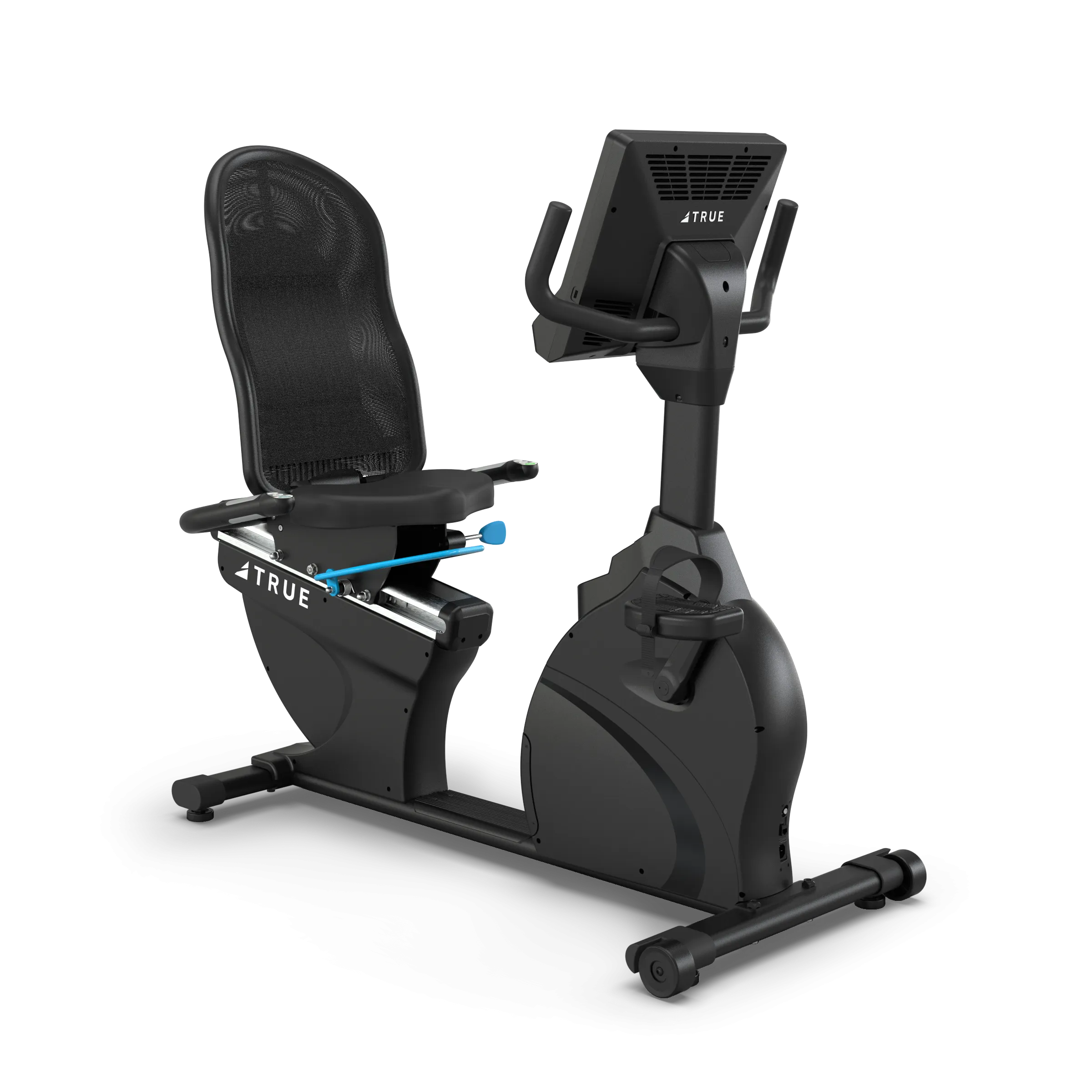 TRUE Performance Series Recumbent Bike